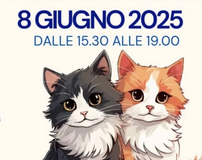 Cat Village, dieci anni coi baffi: una festa tra divertimento e solidarietà