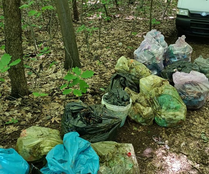 La zona del bosco in fondo a via Po a Marnate bersagliata dai rifiuti