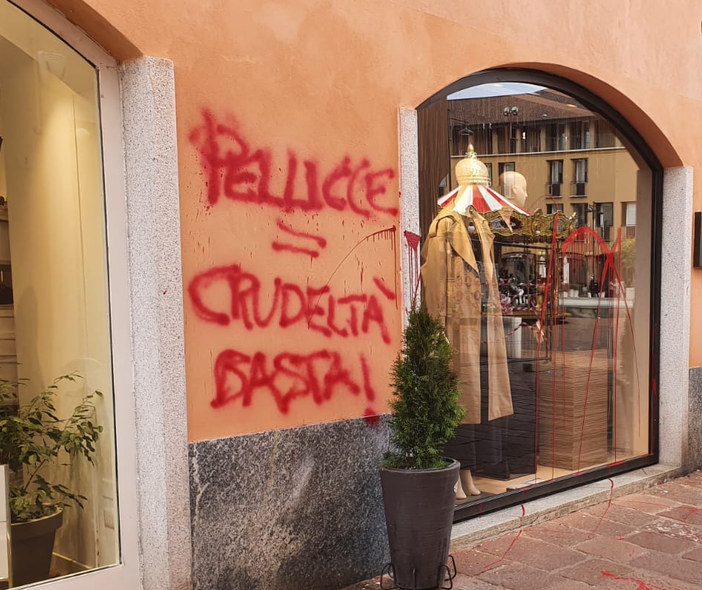 «Pellicce uguale crudeltà. Basta!». Vandali imbrattano negozio in pieno centro