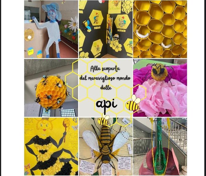 Giornata mondiale dell’ape, una mostra alla primaria De Amicis Giornata mondiale dell’ape, una mostra alla primaria De Amicis