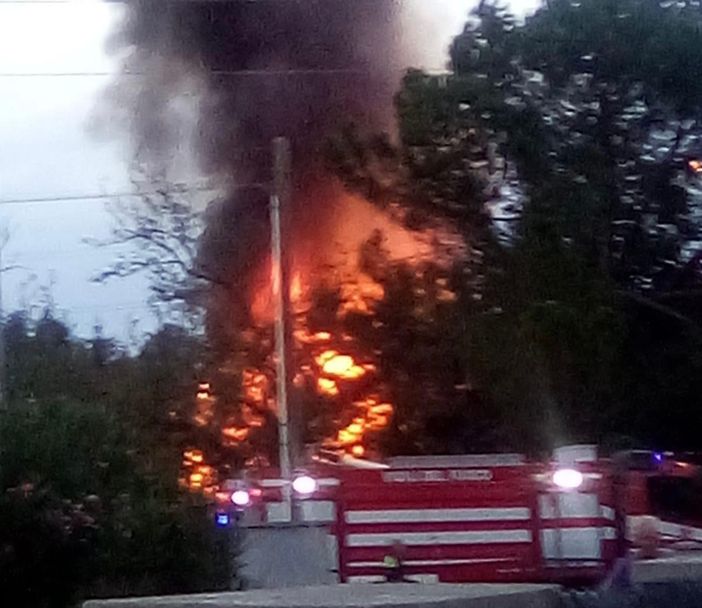 foto per cortesia di Gaia Giudici - gruppo Sei di Olcella se