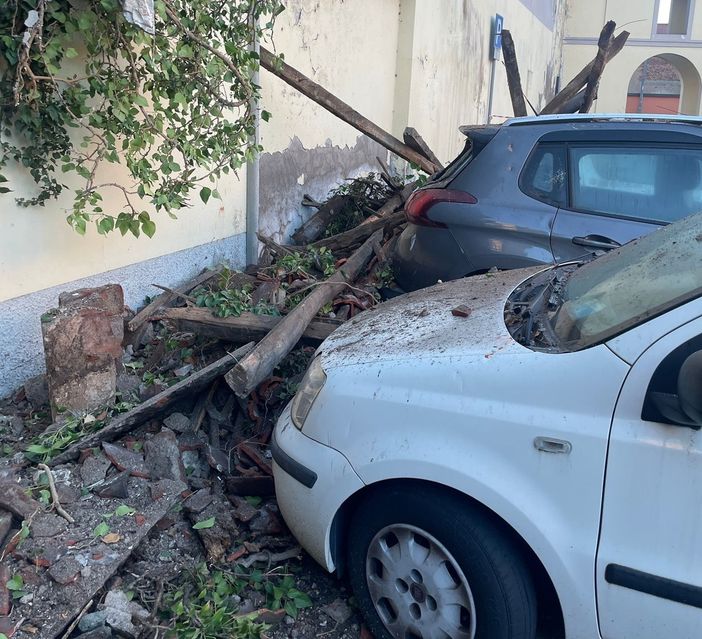 FOTO. Cuggiono, tetto crolla sulle auto: intervengono i vigili del fuoco FOTO. Cuggiono, tetto crolla sulle auto: intervengono i vigili del fuoco
