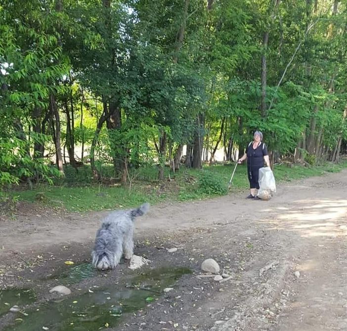 Il maltempo rinvia “Puliamo il Mondo” al Parco Alto Milanese