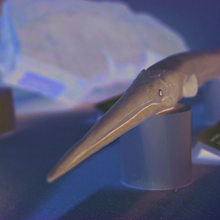 Arcisate, Viggiù, Besano e Cremenaga palcoscenici di nuove storie