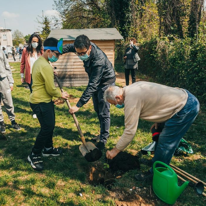 Giornata della Terra, il sindaco di Gallarate pianta dei gelsi con i bambini Giornata della Terra, il sindaco di Gallarate pianta dei gelsi con i bambini