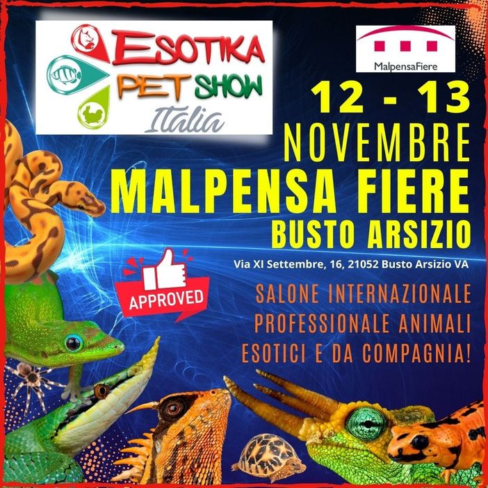 A MalpensaFiere un fine settimana tutto pet friendly A MalpensaFiere un fine settimana tutto pet friendly