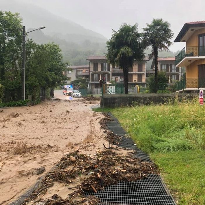 "rampegò" - arrampicare