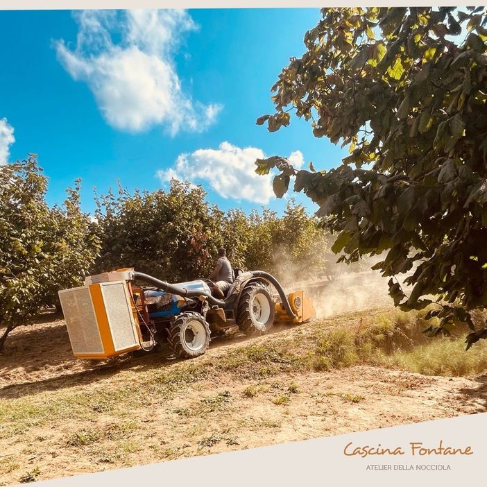 servizio a cura di Marilena Lualdi servizio a cura di Marilena Lualdi