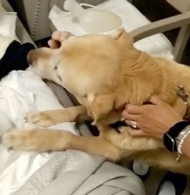 La storia di Luigi e Maia: un ri(incontro) speciale, per abbracciare la vita