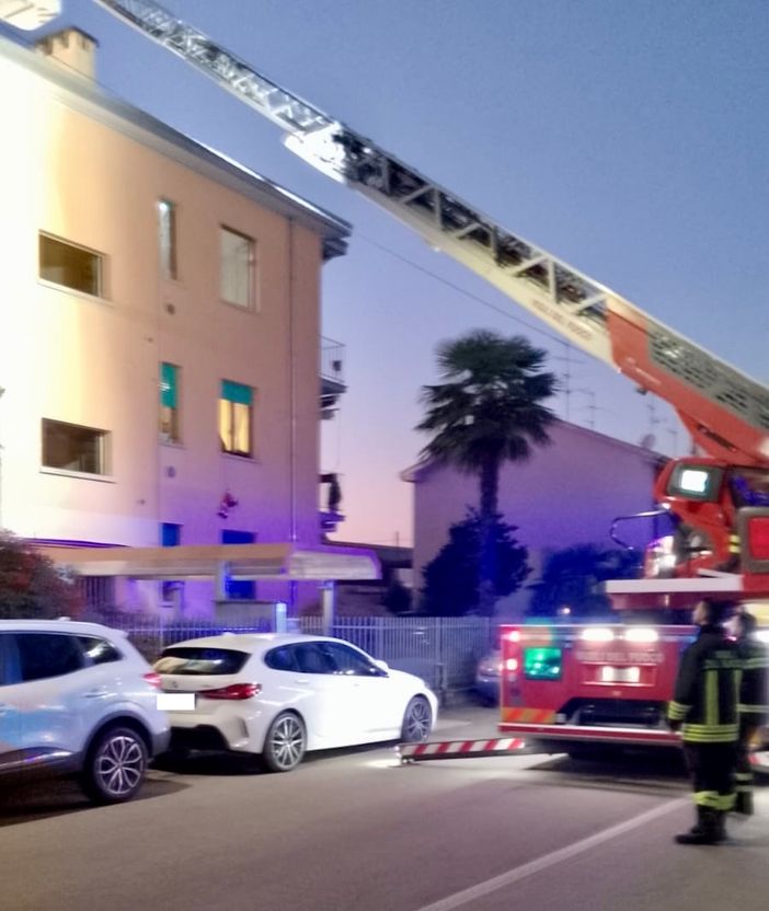 Monossido di carbonio, morta anziana insieme ai suoi animali Monossido di carbonio, morta anziana insieme ai suoi animali