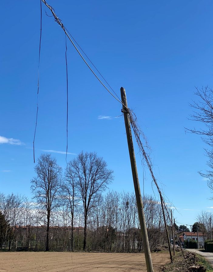 Via Rodari a Busto, i pali in legno della linea telefonica andrebbero sostituiti