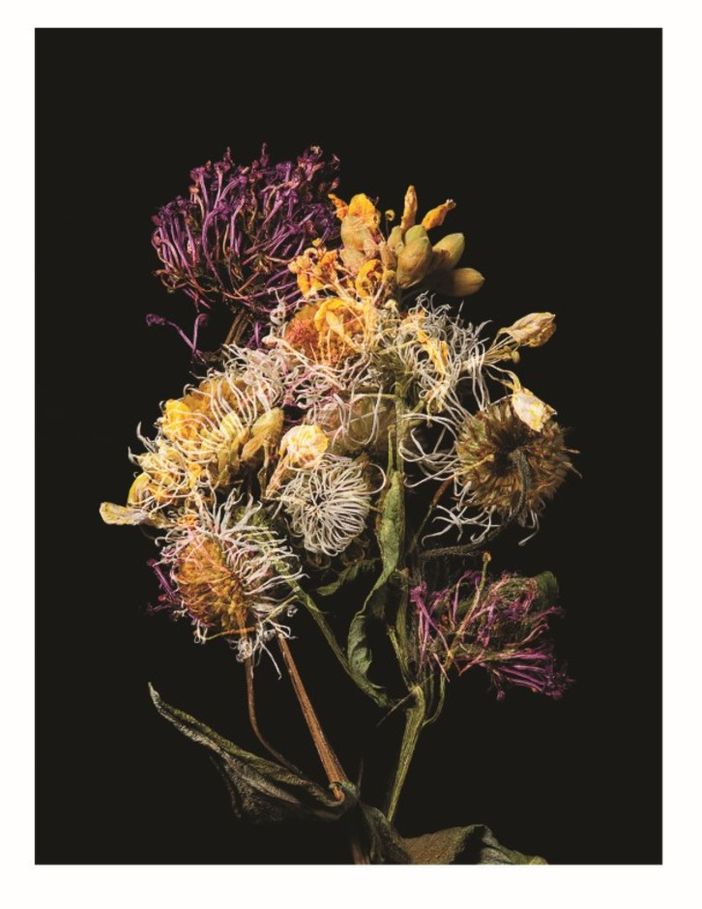 Olga Cafiero vince il Garesio Wine Prize for Documentary Photography Olga Cafiero vince il Garesio Wine Prize for Documentary Photography