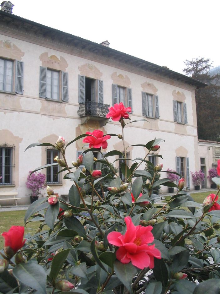 Le Giornate delle Camelie a Villa Della Porta Bozzolo