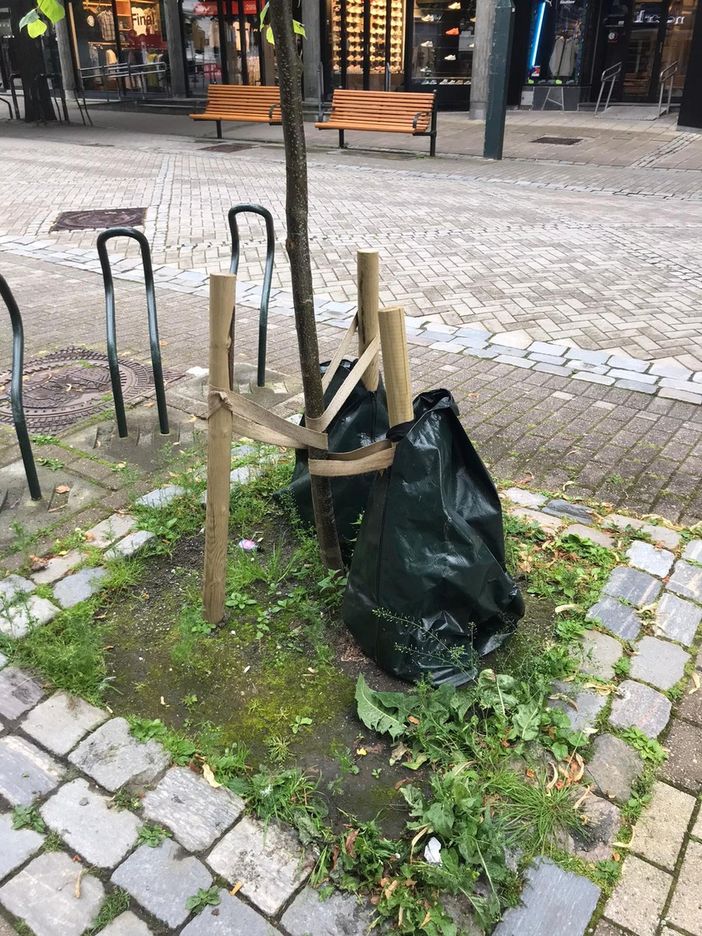 Esempio di Treegator Esempio di Treegator