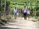 Turismo, UniCredit-Nomisma Wine Monitor: da quello del vino 3 miliardi di valore per cantine Turismo, UniCredit-Nomisma Wine Monitor: da quello del vino 3 miliardi di valore per cantine