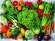 Corso Nutrizionista: Formazione Specializzata per Medici, Biologi e Dietisti