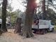 Gallarate: motoseghe al parco Bassetti