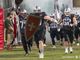 Football americano, i Frogs fanno visita a Bergamo