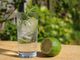 Successo per &quot;Love Gineration&quot;: il festival del gin incanta Busto