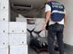 Il tonno sequestrato dagli agenti della Capitaneria di Porto Guardia Costiera di Genova