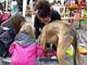 Pet therapy e benessere: il 18 maggio Olgiate Olona ospita “In Cammino con Noi 2025”, evento esperienziale con asini, conigli e cani
