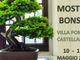 Il Giappone in miniatura a Villa Pomini