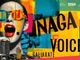 Gallarate si prepara a cantare: in arrivo Naga Voice 2025, il concorso che dà voce ai talenti