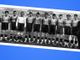 La foto storica che segna l'inizio della vita della Spal