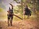 Displasia dell'anca nei cani: sintomi, cause e approcci terapeutici Displasia dell'anca nei cani: sintomi, cause e approcci terapeutici