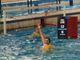 Busto Pallanuoto, prestazione convincente contro Sestri: 12-6