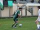 Foot: Mauro Lucchi (Fotografo Ufficiale U.S.D. Castellanzese 1921) Foot: Mauro Lucchi (Fotografo Ufficiale U.S.D. Castellanzese 1921)