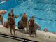 Busto Pallanuoto, brusca frenata: 9–16 con Bocconi Sport