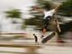 Skate park al Museo del Tessile, un altro passo avanti