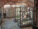 “Giochi e sport nelle collezioni del Museo Mangini Bonomi”