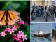 Fiori, motori, foto e tante chance di stare insieme: un weekend che scoppia di eventi nel Bustese Fiori, motori, foto e tante chance di stare insieme: un weekend che scoppia di eventi nel Bustese