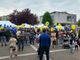 Lions Day a Olgiate Olona