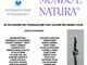 Mondo e Natura: l’arte internazionale protagonista a Brera durante il Fuorisalone 2026 Mondo e Natura: l’arte internazionale protagonista a Brera durante il Fuorisalone 2026