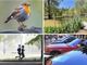 Natura, musica e tanta aria di festa: un weekend a colori nel Bustese