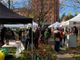 Domenica 18 giugno nuovo appuntamento col Mercato Contadino al parco Comerio di Busto