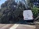Indicazioni per le richieste sugli abbattimenti degli alberi