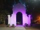 L'arco dei Platani in viola per la Giornata mondiale dell’epilessia