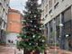 Busto aspetta il Natale. Arriva l'albero in via Milano