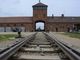 Gallarate ricorda la Shoah: musica, letture e memoria collettiva