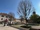 Lunedì mattina l’abbattimento dei tre bagolari morti in piazza San Magno a Legnano