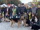 VIDEO. Con un... ululato in marcia quasi 150 cani con le loro famiglie
