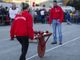 Gallarate, il Palio della Rama di Pomm si farà