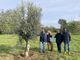 “Le radici nel domani”: cinque alberi al Parco De Curtis per celebrare i nuovi nati di Busto