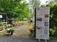 Porte aperte, dopo due anni, all'orto botanico del liceo di Gallarate (vedi anche foto in fondo all'articolo)