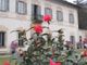 Le Giornate delle Camelie a Villa Della Porta Bozzolo