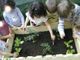 Concluso il progetto di outdoor education all’asilo nido “Salvo D’Acquisto” di Legnano